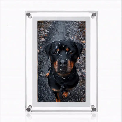 “Personalized 5-Inch Digital Photo Frame – The Perfect Gift for Loved Ones”